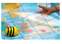 Bee-Bot Codingmat transparant